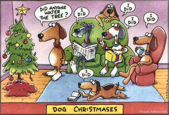 dog-christmas1.jpg